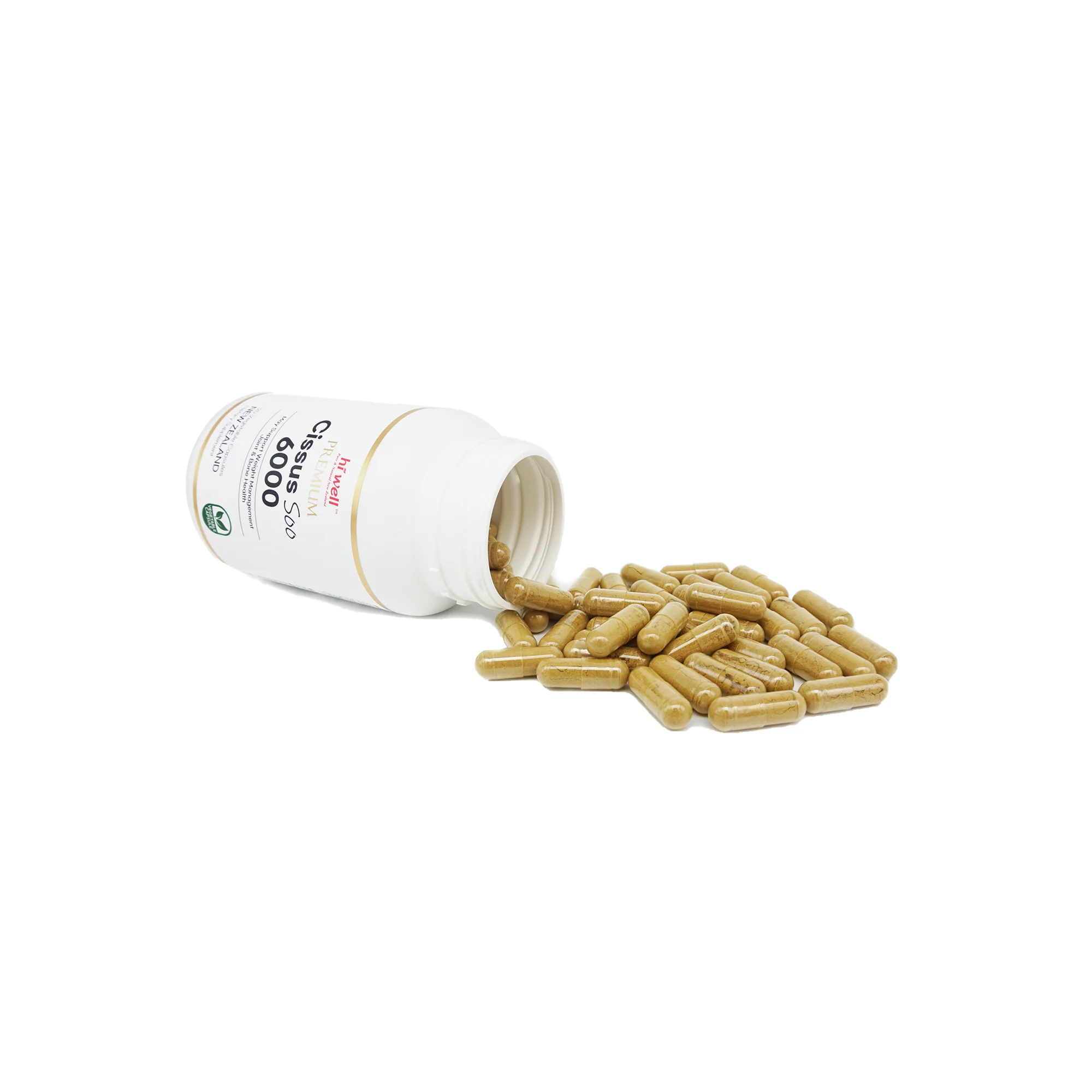 Hi Well Premium Cissus Soo 6000 120 Vegetable Capsules - Image 4
